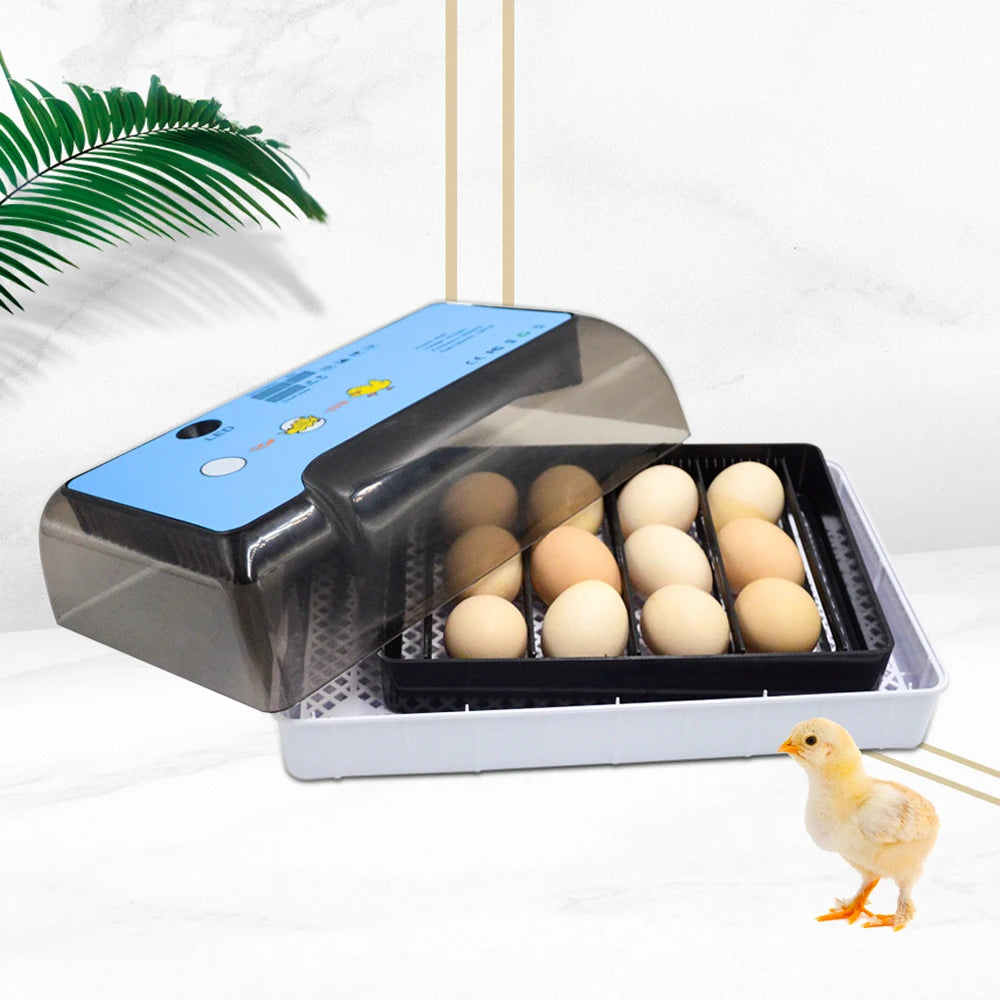 Eggs Incubator, Fully Automatic Turning, Hatching