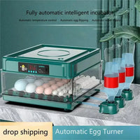 Automatische Eierbroedmachine, Lade-type Ontwerp, Automatische Wateraanvulling