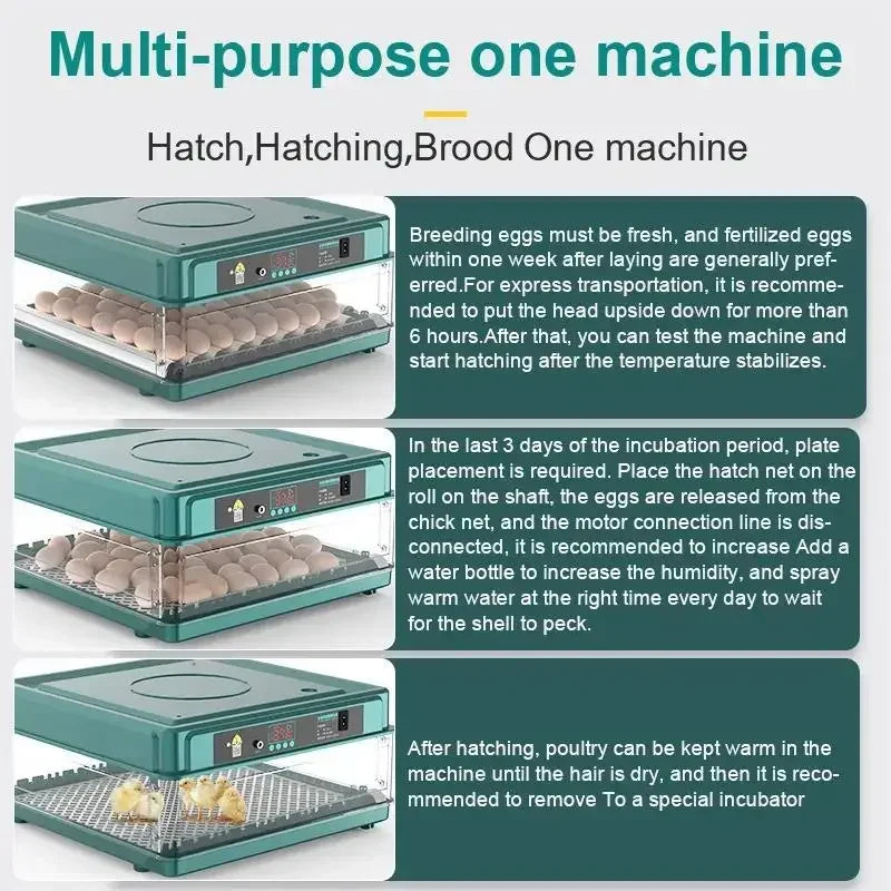 Automatische Eierbroedmachine, Lade-type Ontwerp, Automatische Wateraanvulling