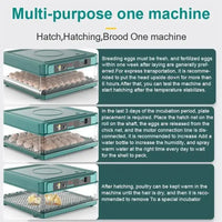 Automatische Eierbroedmachine, Lade-type Ontwerp, Automatische Wateraanvulling