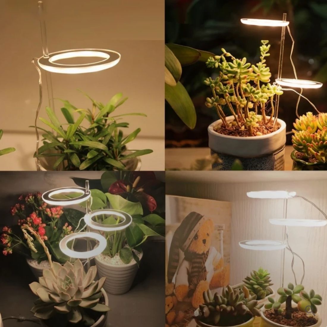 GrowGlow™ Mimics natural sunlight 1