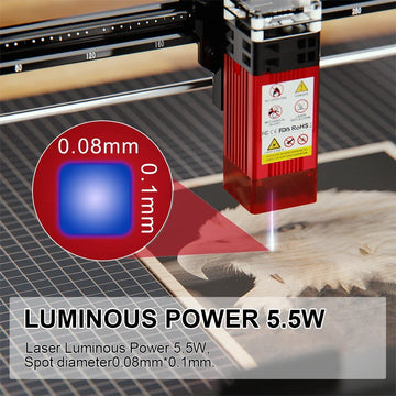 6097518595566