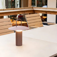 TerraBeam™ The perfect garden light! USB rechargeable + 3 colors & 3-level dimming 3