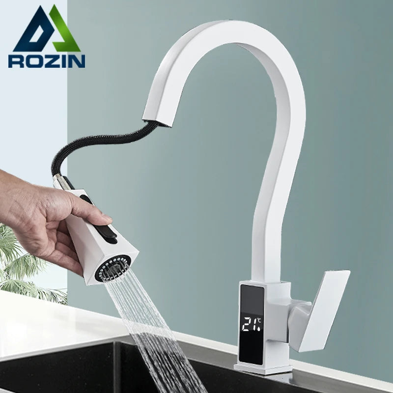 Kitchen Faucet, Pull Out Sprayer, Dual Water Mode