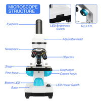 Microscoop, Professioneel Biologisch, School Laboratorium